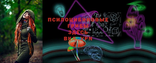 Альфа ПВП Лагань