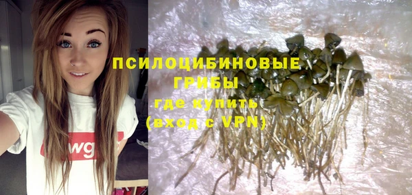 винт Ладушкин