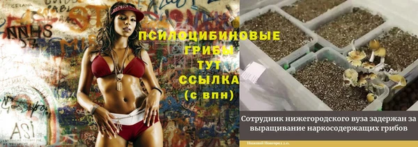 а пвп мука Куйбышев