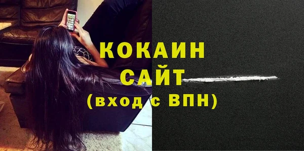 Альфа ПВП Лагань