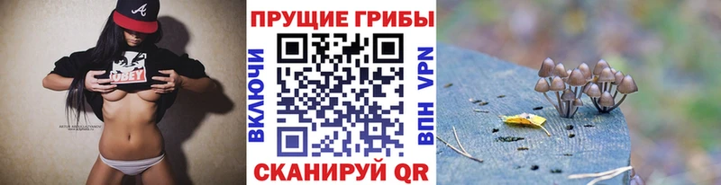 Купить  Ворсма  Псилоцибиновые грибы мухоморы 