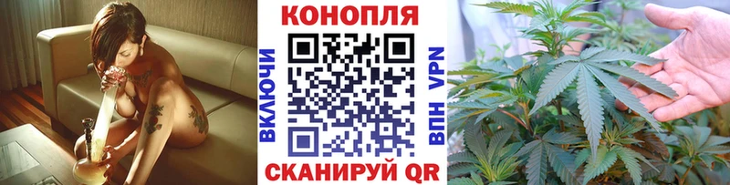 Купить где  Ворсма  Бошки марихуана MAZAR 